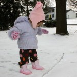 More Snow, and Dance Observation Day