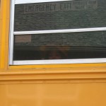 The Wheels on the Bus…