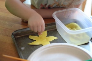 201107_star_fish_2