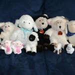 Sheep Thrills