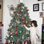 Oh, Christmas Tree