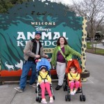Animal Kingdom