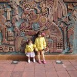 20100203_mexico