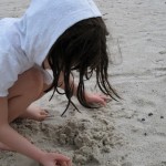 20100204_beach1 20100204_beach1