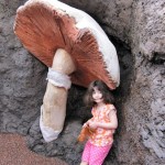 20100202_giant_mushroom 20100202_giant_mushroom