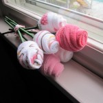 Baby Roses