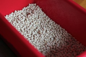 201107_beans_and_bags1