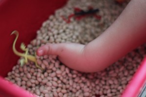 201107_beans_and_bags3