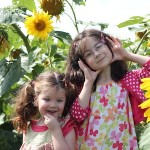 Sunflowers!