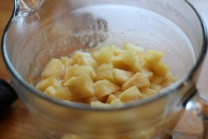 20110902_applesauce11