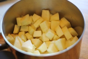 20110902_applesauce2