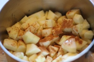 20110902_applesauce3