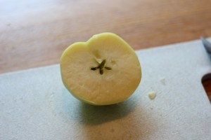 20110902_applesauce4