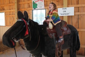 20111006_stokoe_farms4