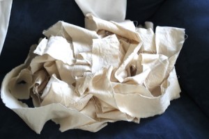 20111025_mummy_begins3