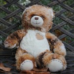 Brownie the Bear