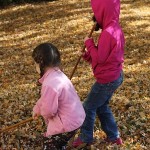 20111106_raking1