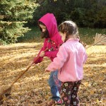 20111106_raking2